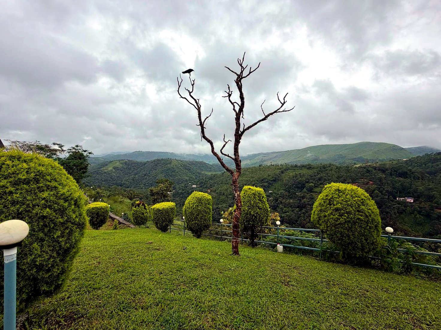 Sweeping view of the misty, tea-covered hills of Vagamon from the villa grounds